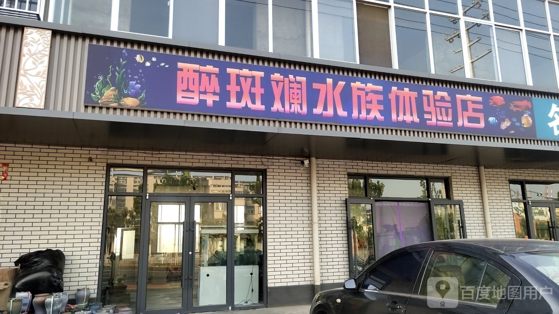 林州開水族店怎么樣？加盟祥龍魚場(chǎng)賣龍魚市場(chǎng)怎樣？