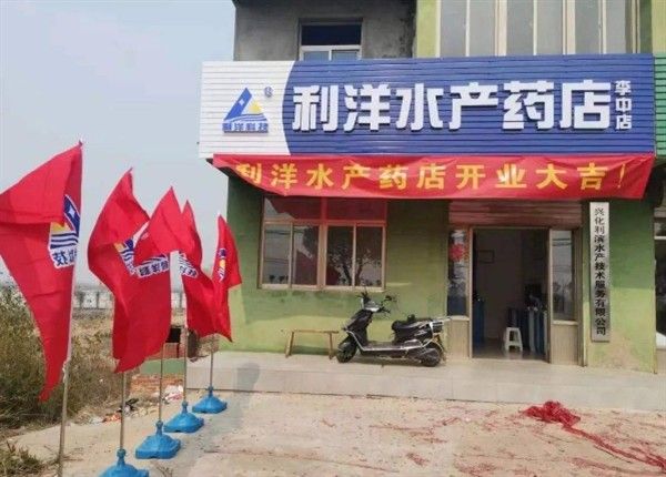振興開水族店怎么樣？加盟祥龍魚場賣龍魚市場怎樣？