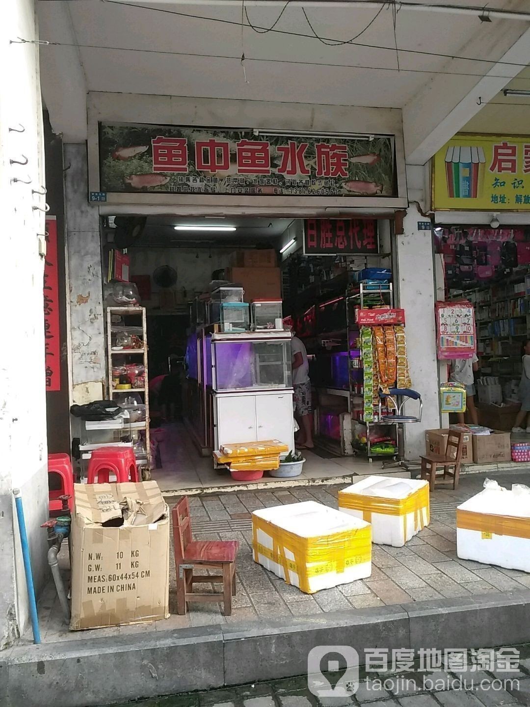 龍華開水族店怎么樣？加盟祥龍魚場賣龍魚市場怎樣？