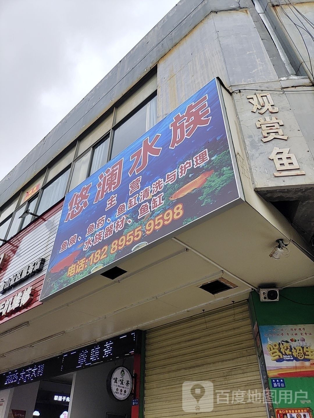 龍華開水族店怎么樣？加盟祥龍魚場賣龍魚市場怎樣？