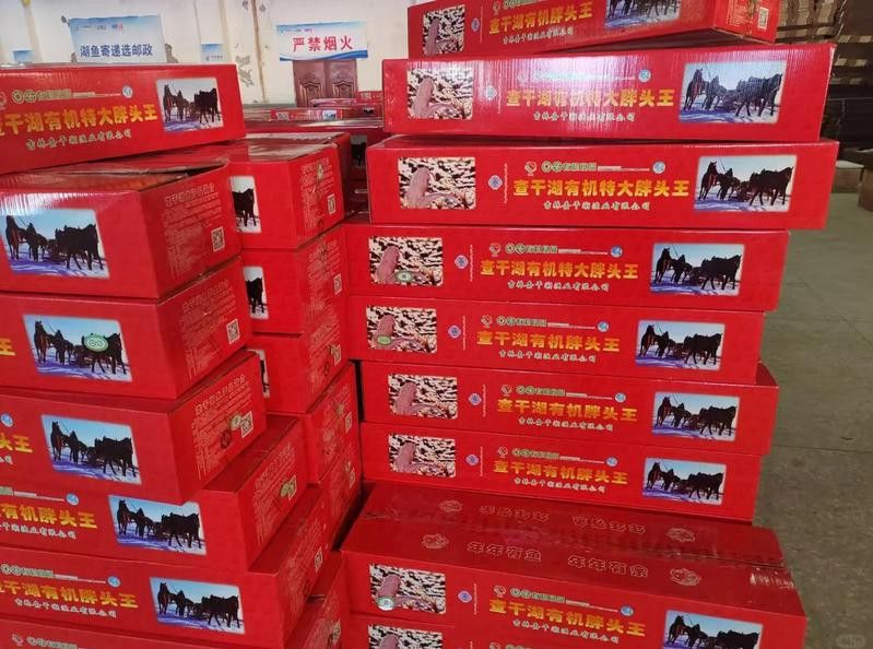 祥龍魚場如何辨別真假？