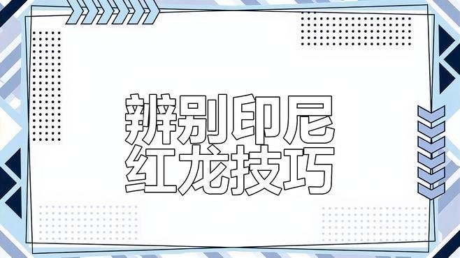 龍魚長什么樣