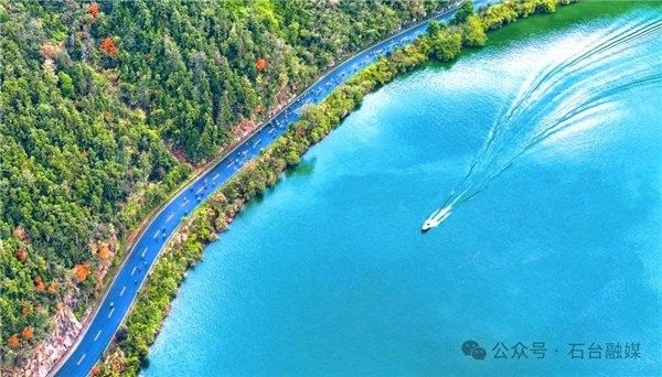 石臺開水族店怎么樣？加盟祥龍魚場賣龍魚市場怎樣？