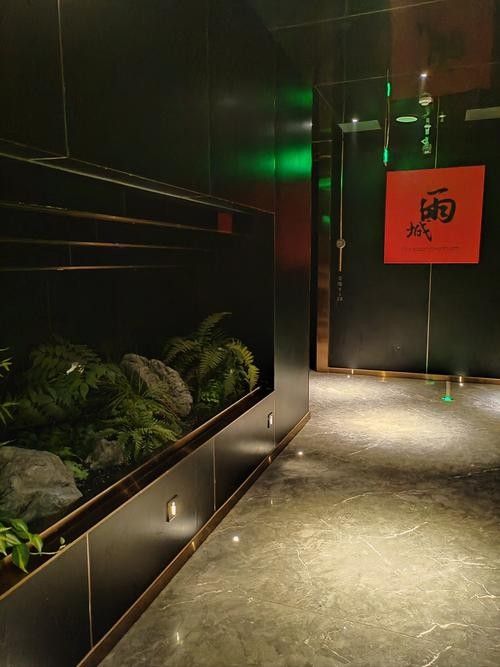 雨城開水族店怎么樣？加盟祥龍魚場賣龍魚市場怎樣？
