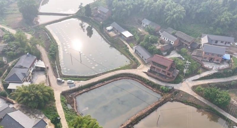互助開水族店怎么樣？加盟祥龍魚場賣龍魚市場怎樣？
