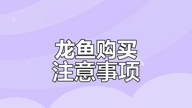 石屏開水族店怎么樣？加盟祥龍魚場賣龍魚市場怎樣？