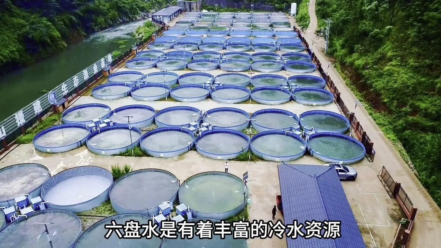 六盤水開水族店怎么樣？加盟祥龍魚場賣龍魚市場怎樣？