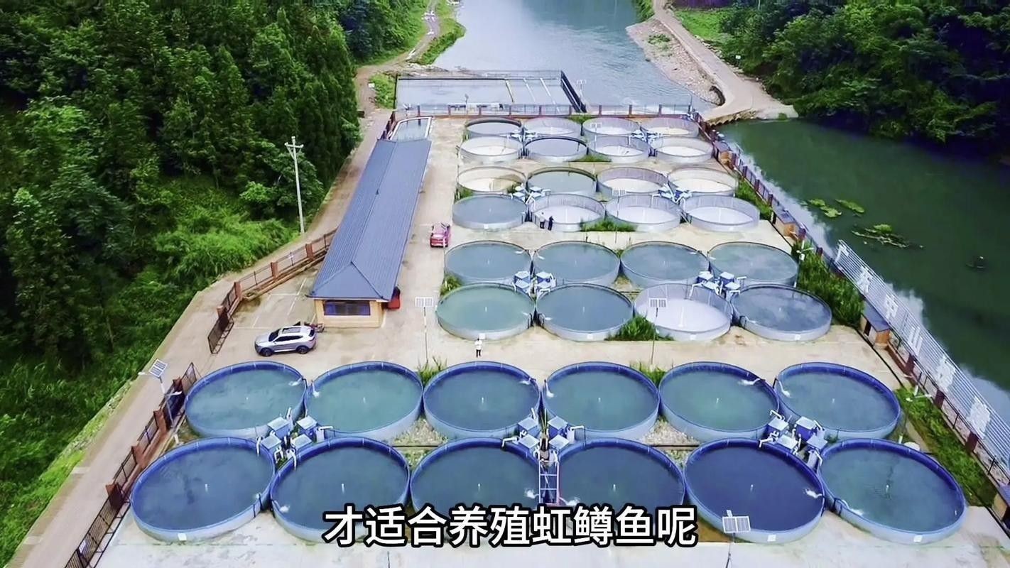 六盤水開水族店怎么樣？加盟祥龍魚場賣龍魚市場怎樣？