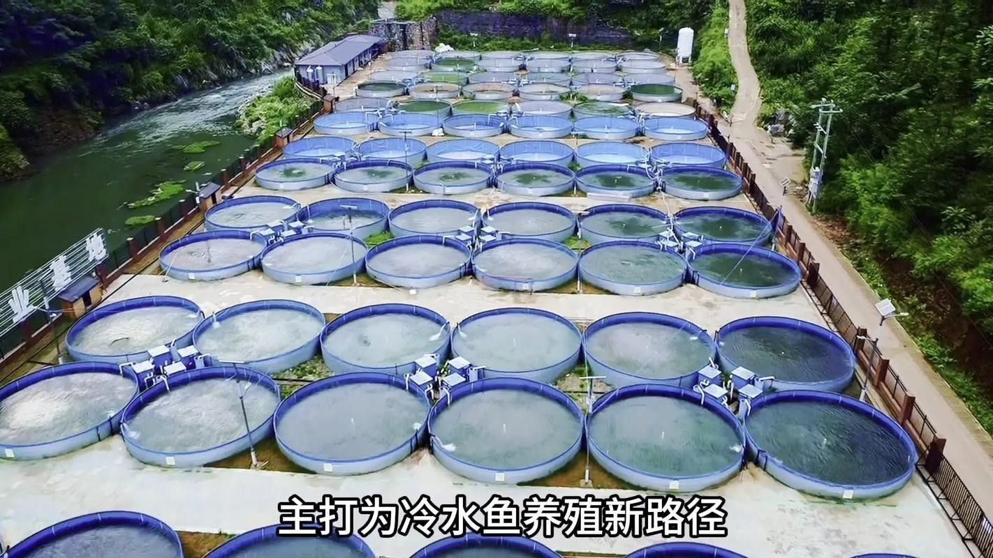 六盤水開水族店怎么樣？加盟祥龍魚場賣龍魚市場怎樣？