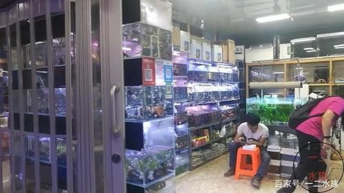防城港開(kāi)水族店怎么樣？加盟祥龍魚場(chǎng)賣龍魚市場(chǎng)怎樣？
