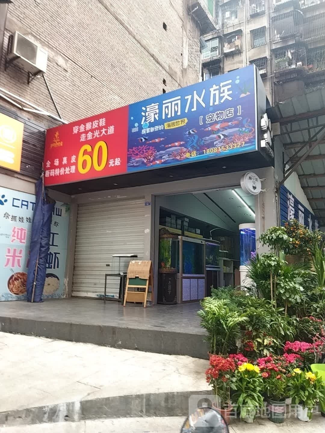 <strong><mark>通川</mark></strong>開水族店怎么樣？加盟祥龍魚場賣龍魚市場怎樣？