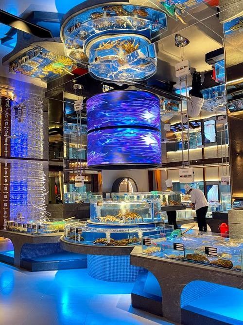 哈爾濱開水族店怎么樣？加盟祥龍魚場賣龍魚市場怎樣？