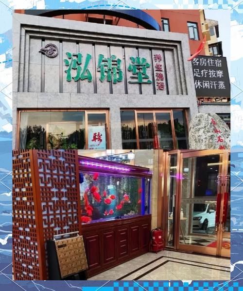 北辰開水族店怎么樣？加盟祥龍魚場賣龍魚市場怎樣？
