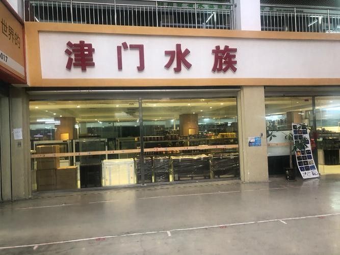 北辰開水族店怎么樣？加盟祥龍魚場賣龍魚市場怎樣？