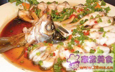 魚缸玻璃計算器龍魚之巔：關(guān)于魚缸玻璃計算器的信息