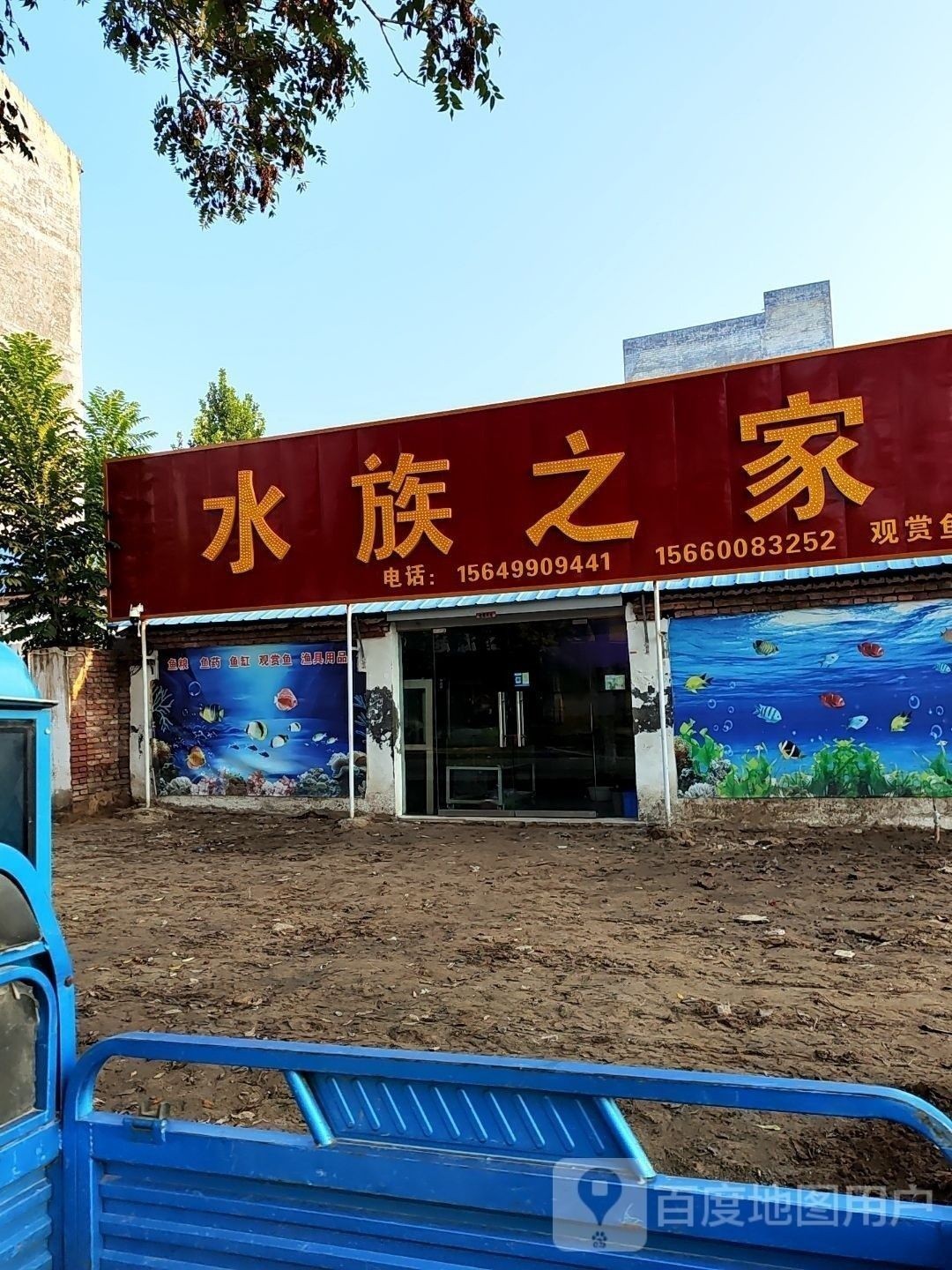 民權開水族店怎么樣？加盟祥龍魚場賣龍魚市場怎樣？