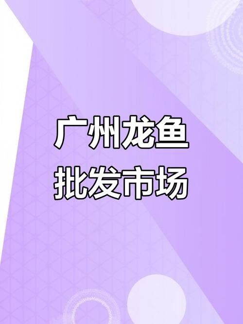 廣州開水族店怎么樣？加盟祥龍魚場賣龍魚市場怎樣？