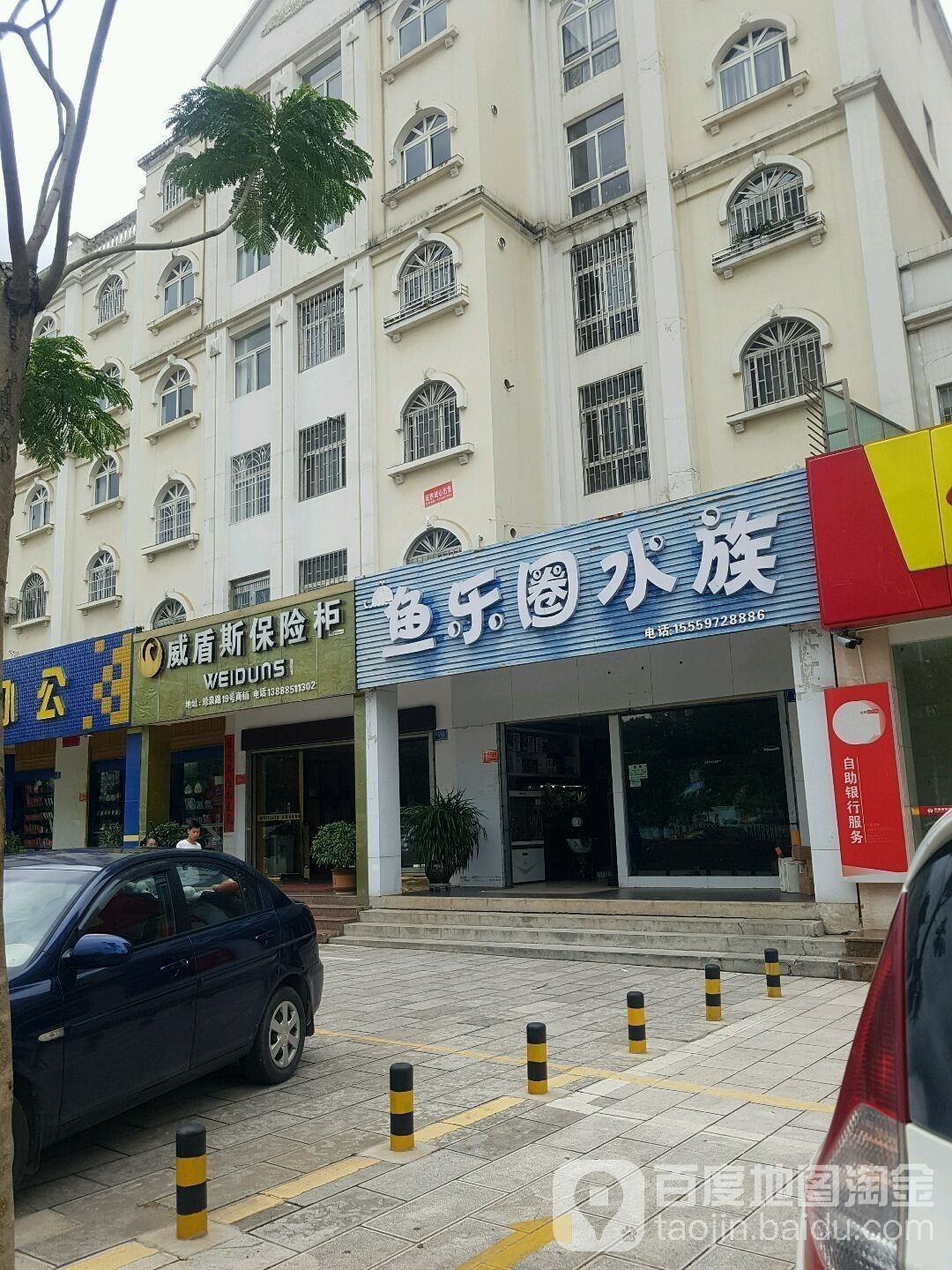 安寧開水族店怎么樣？加盟祥龍魚場賣龍魚市場怎樣？