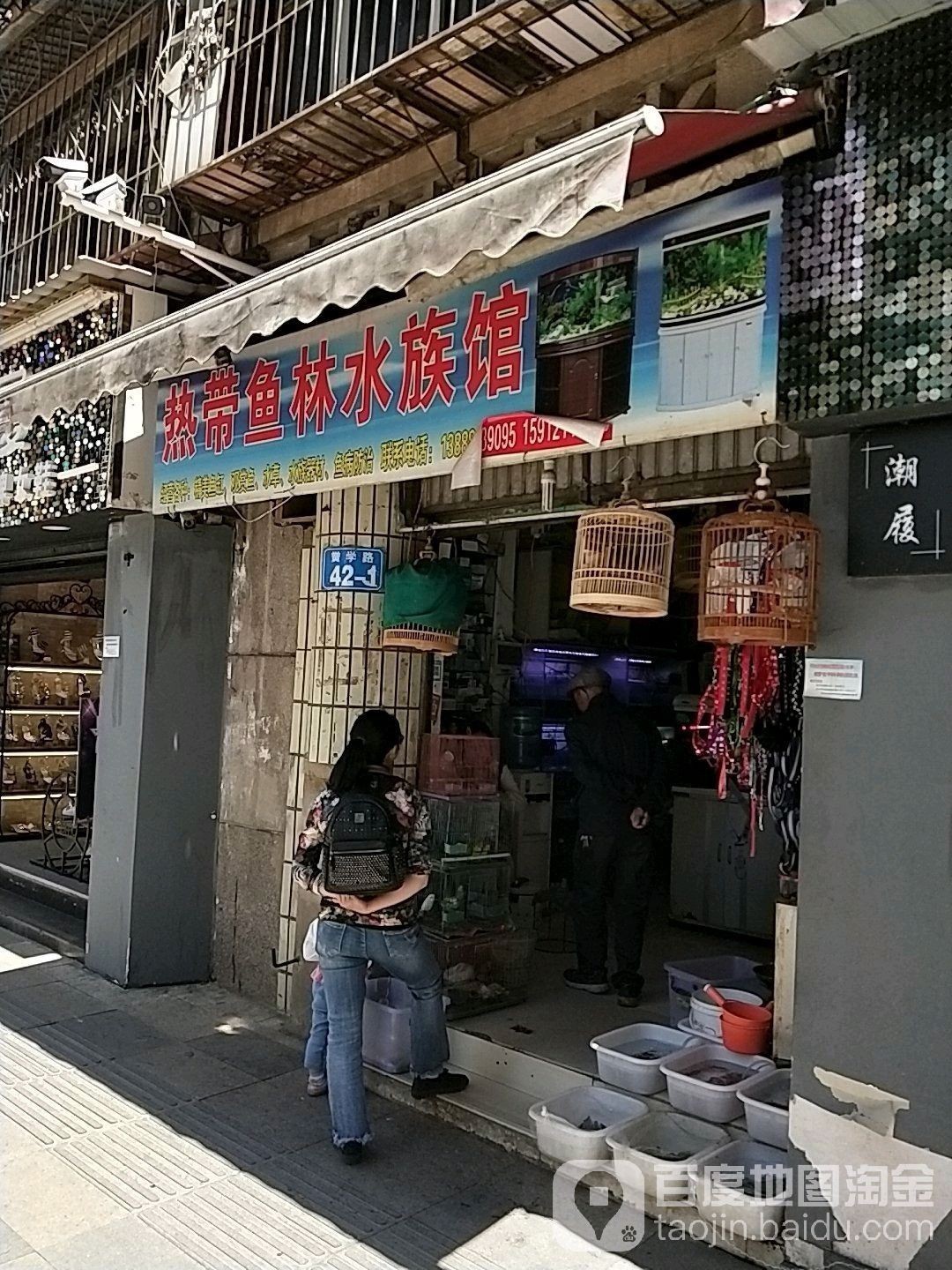 安寧開水族店怎么樣？加盟祥龍魚場賣龍魚市場怎樣？