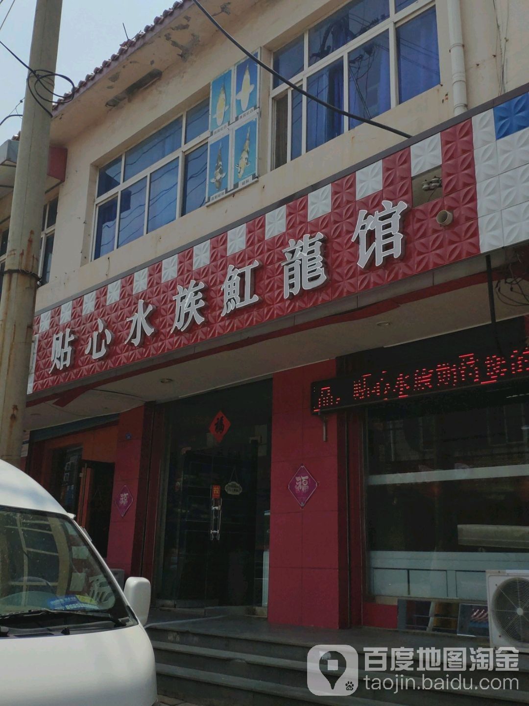濟(jì)南開水族店怎么樣？加盟祥龍魚場(chǎng)賣龍魚市場(chǎng)怎樣？