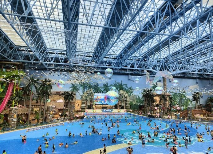 濟南開水族店怎么樣？加盟祥龍魚場賣龍魚市場怎樣？