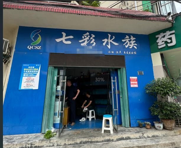<strong><mark>海淀</mark></strong>開水族店怎么樣？加盟祥龍魚場賣龍魚市場怎樣？