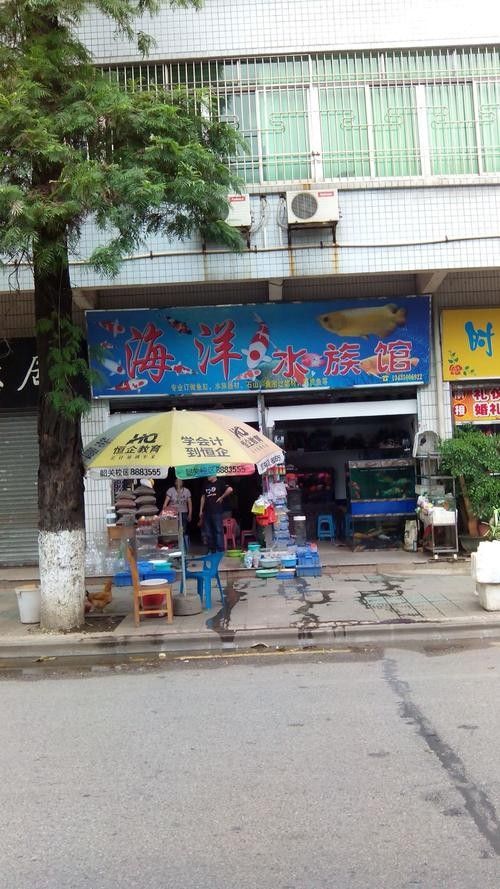 海淀開水族店怎么樣？加盟祥龍魚場賣龍魚市場怎樣？