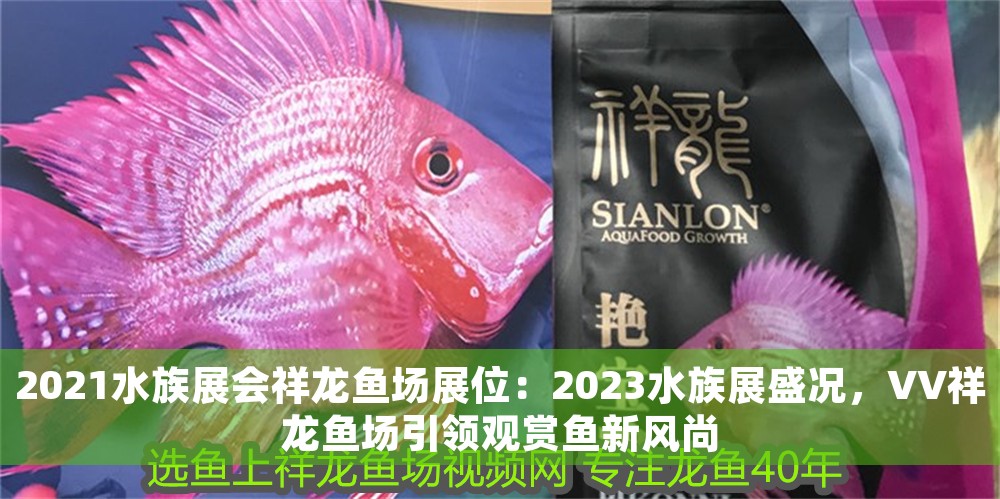 2021水族展會祥龍魚場展位：2023水族展盛況，VV祥龍魚場引領觀賞魚新風尚 2021水族展會祥龍魚場展位：2023水族展盛況，VV祥龍魚場引領觀賞魚新風尚 龍魚百科 第1張