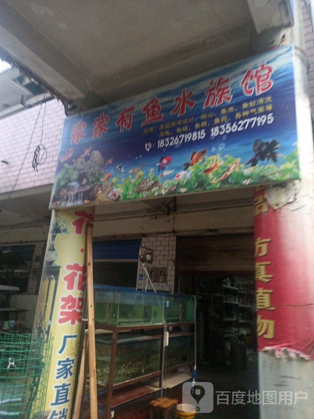 銅陵開水族店怎么樣？加盟祥龍魚場賣龍魚市場怎樣？