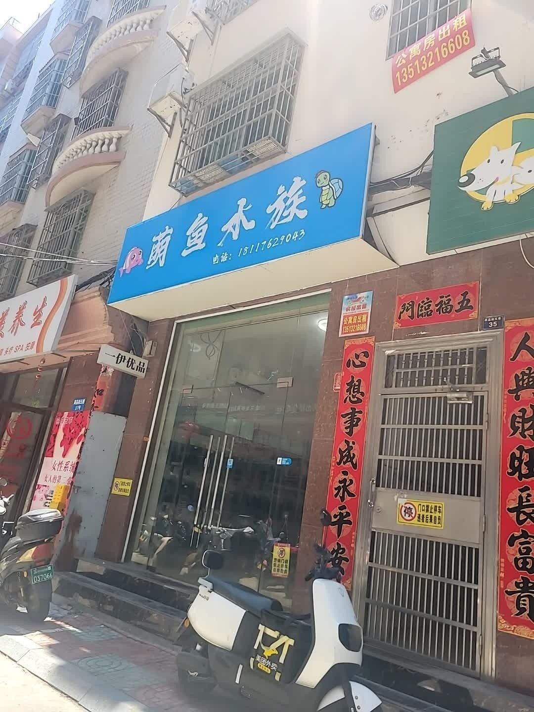 吉陽開水族店怎么樣？加盟祥龍魚場賣龍魚市場怎樣？