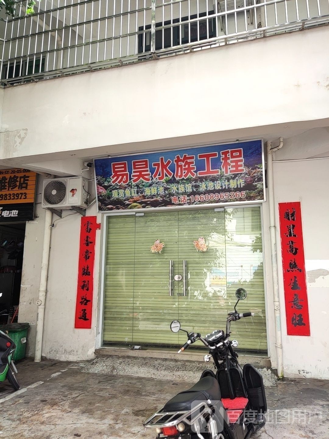 吉陽開水族店怎么樣？加盟祥龍魚場賣龍魚市場怎樣？