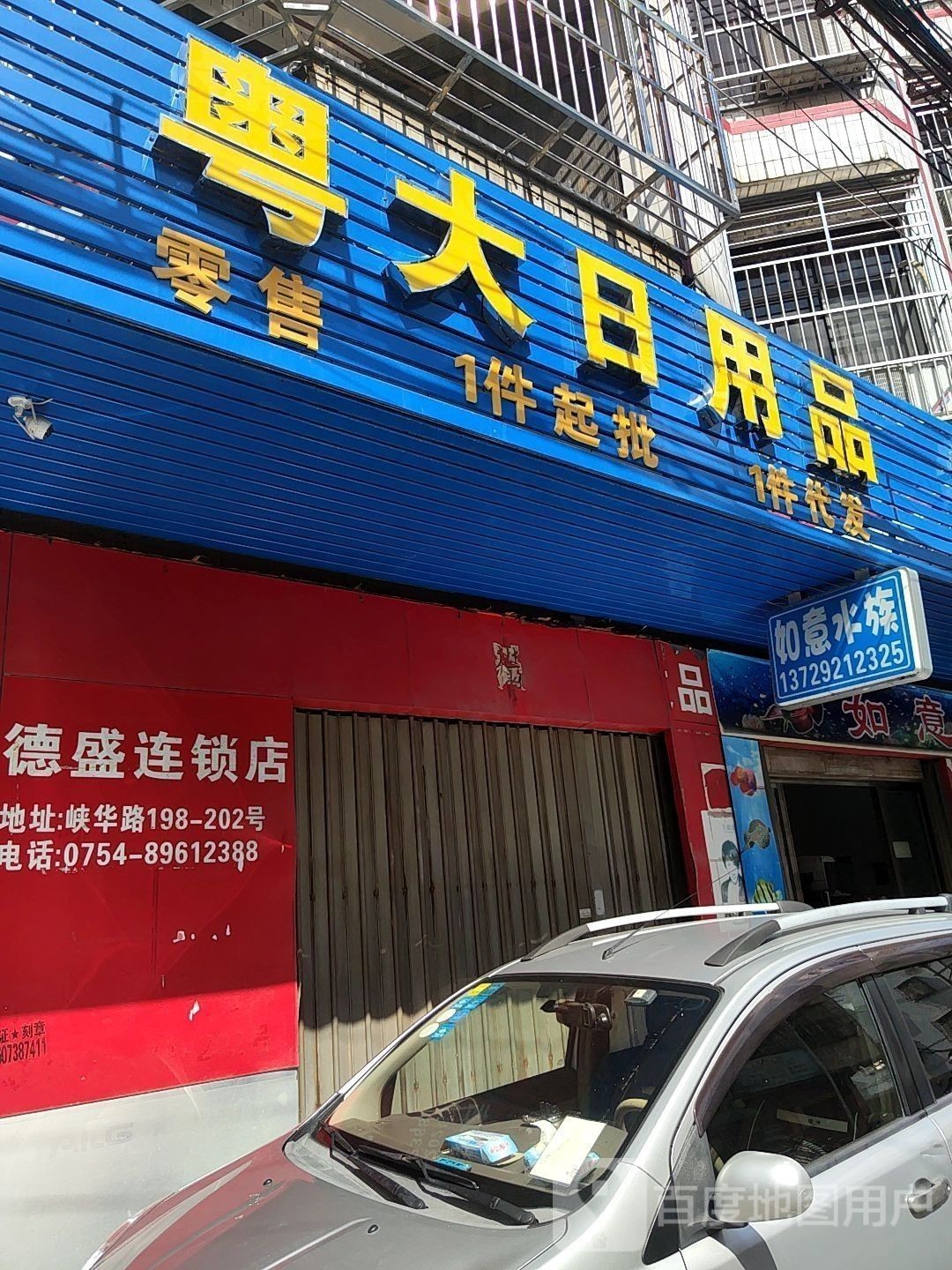潮南開水族店怎么樣？加盟祥龍魚場(chǎng)賣龍魚市場(chǎng)怎樣？