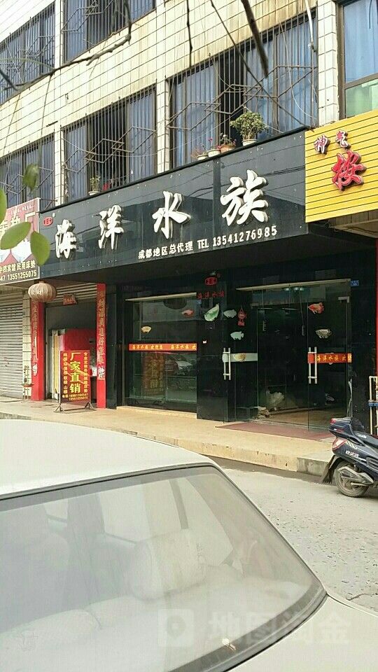新都開水族店怎么樣？加盟祥龍魚場賣龍魚市場怎樣？