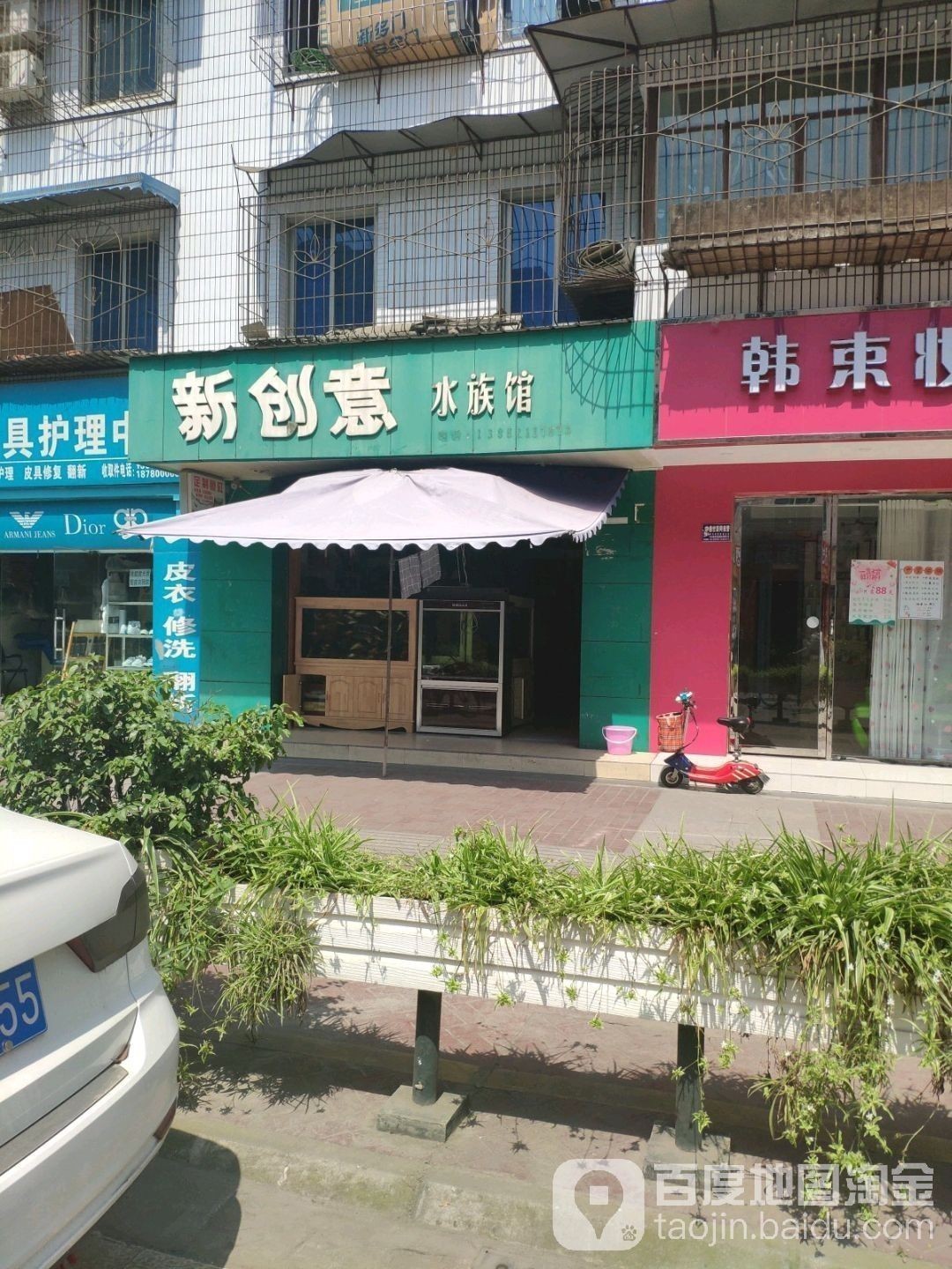新都開水族店怎么樣？加盟祥龍魚場賣龍魚市場怎樣？
