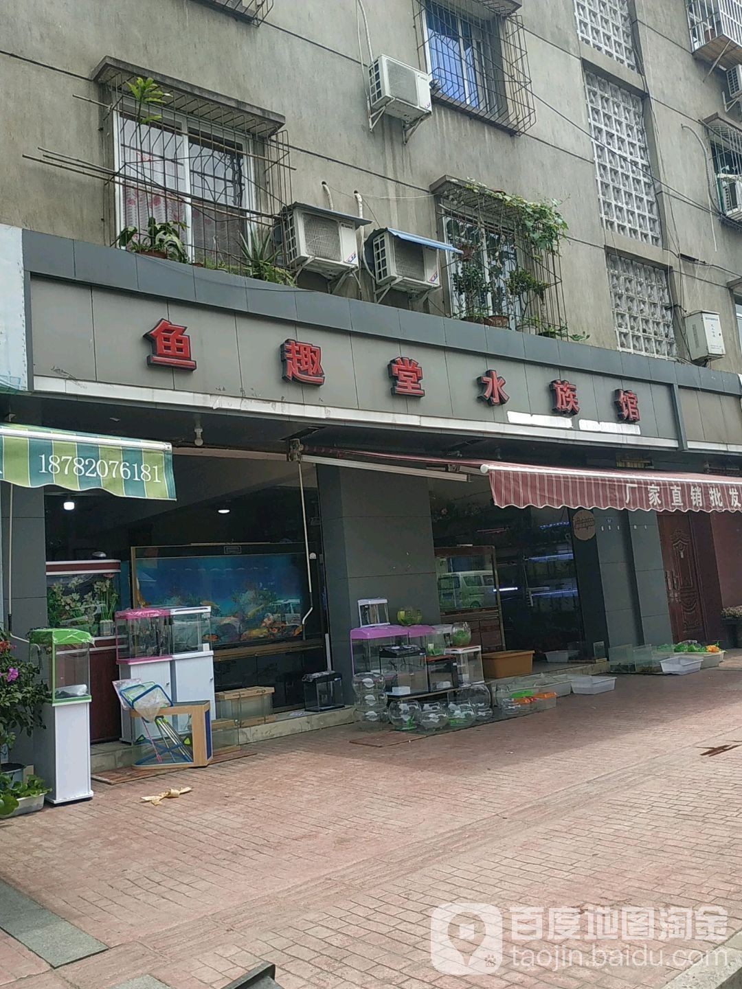 新都開水族店怎么樣？加盟祥龍魚場賣龍魚市場怎樣？