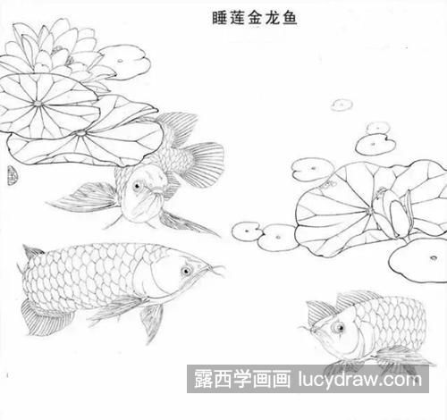 彩色鉛筆畫金龍魚的畫法步驟:彩色鉛筆畫金龍魚的畫法步驟：國畫金龍魚的畫法步驟 彩色鉛筆畫金龍魚的畫法步驟:彩色鉛筆畫金龍魚的畫法步驟：國畫金龍魚的畫法步驟 龍魚百科 第3張