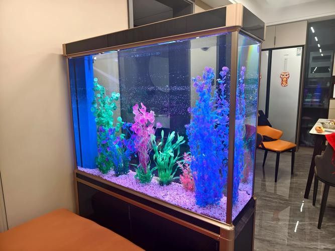 湯旺河開水族店怎么樣？加盟祥龍魚場賣龍魚市場怎樣？
