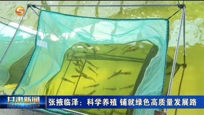 臨澤開水族店怎么樣？加盟祥龍魚場賣龍魚市場怎樣？