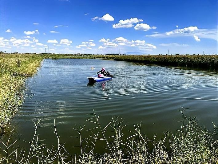 臨澤開水族店怎么樣？加盟祥龍魚場賣龍魚市場怎樣？