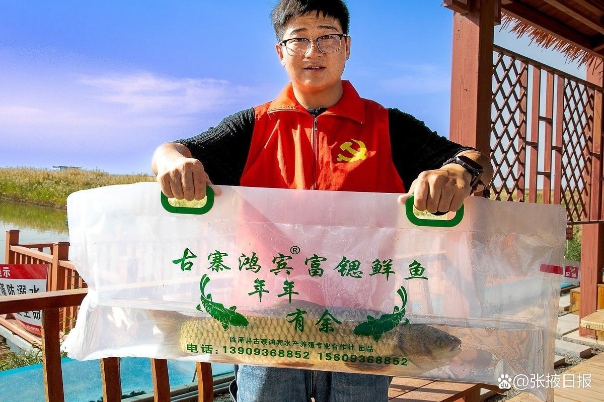 臨澤開水族店怎么樣？加盟祥龍魚場賣龍魚市場怎樣？