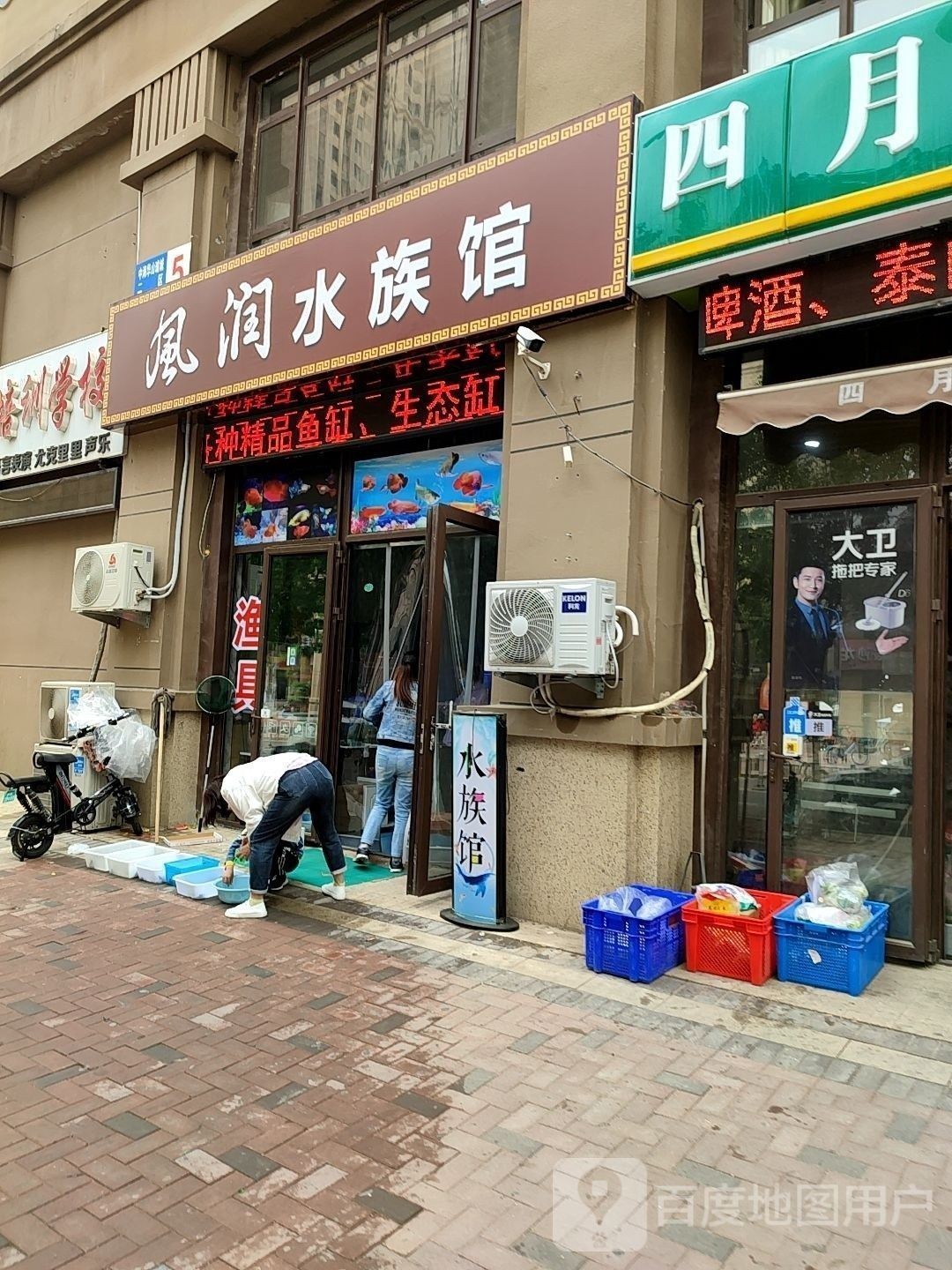 濟南市中開水族店怎么樣？加盟祥龍魚場賣龍魚市場怎樣？