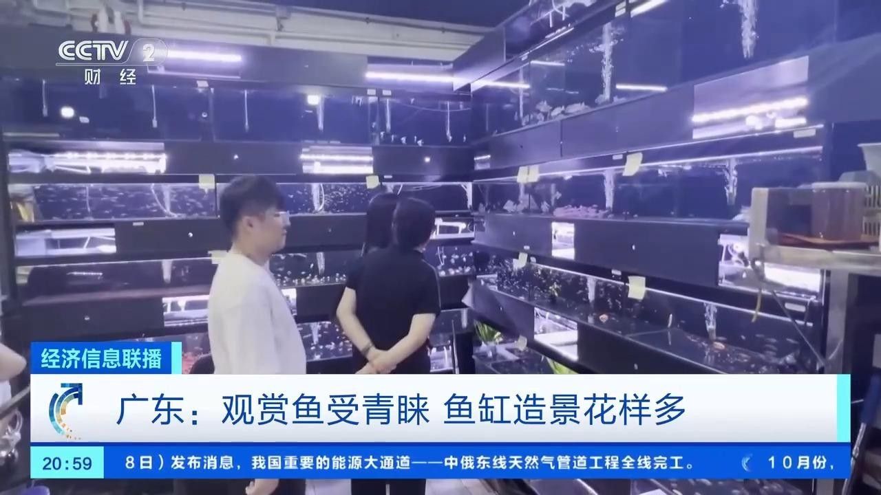 漣水開水族店怎么樣？加盟祥龍魚場(chǎng)賣龍魚市場(chǎng)怎樣？