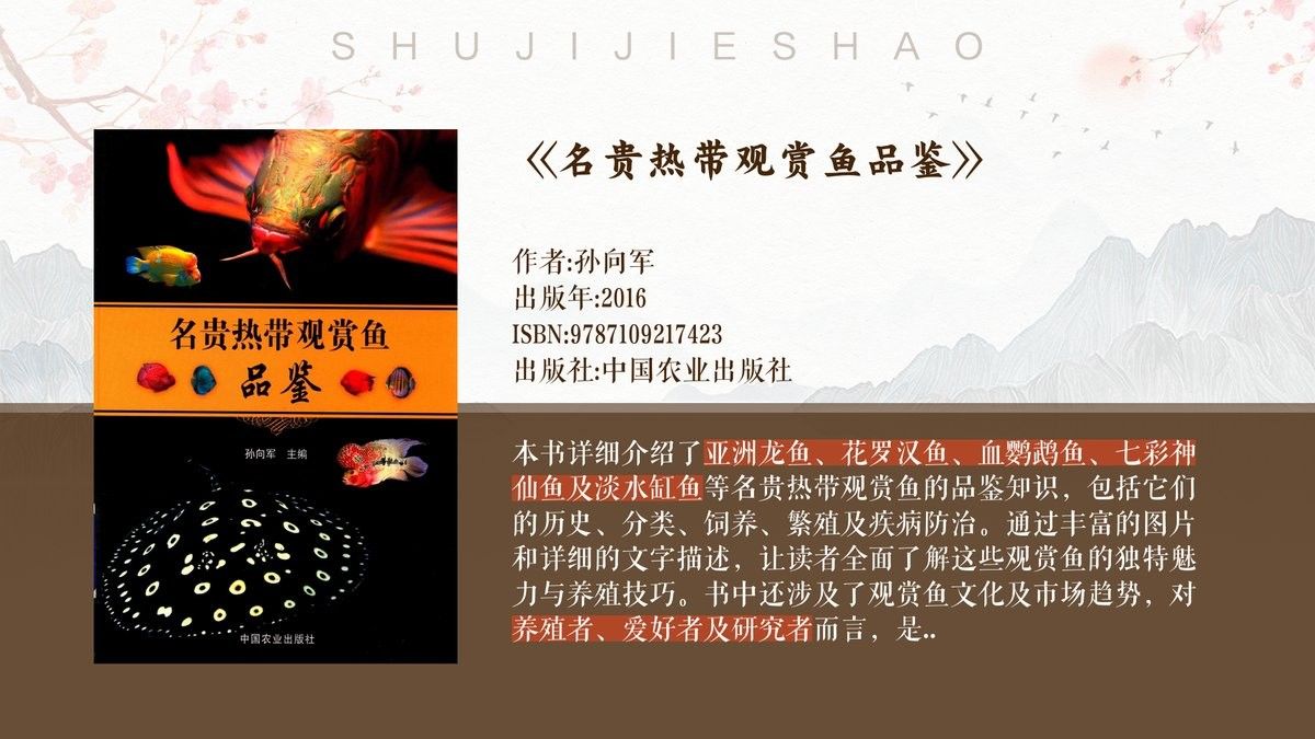 龍魚是什么顏色的