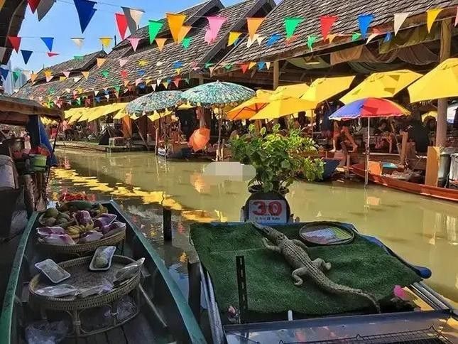 英吉沙開水族店怎么樣？加盟祥龍魚場(chǎng)賣龍魚市場(chǎng)怎樣？