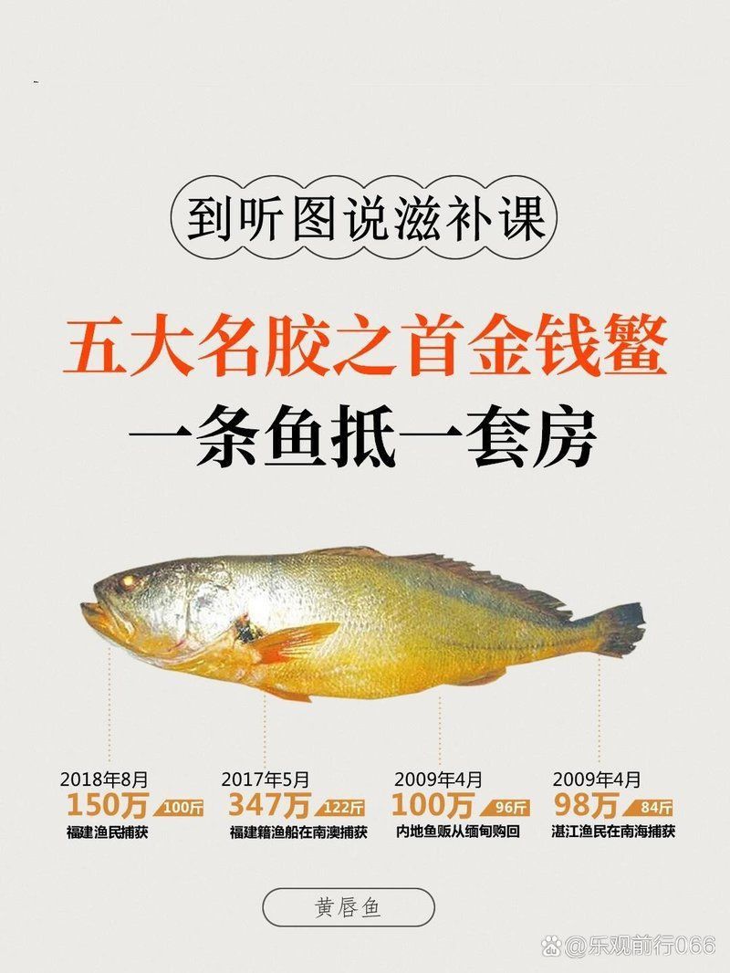 金錢吻魚多少錢一斤