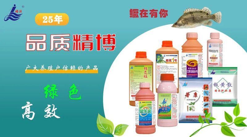 金錢吻魚多少錢一斤