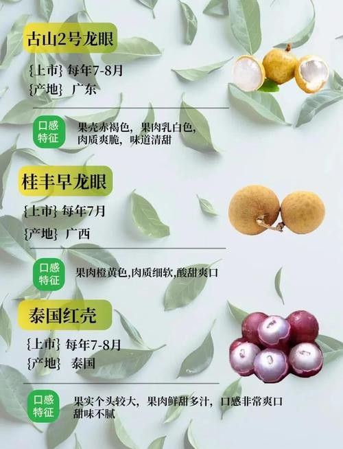 哪些品種的龍眼最新鮮？
