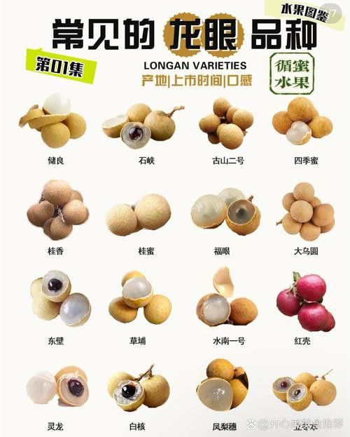 哪些品種的龍眼最新鮮？