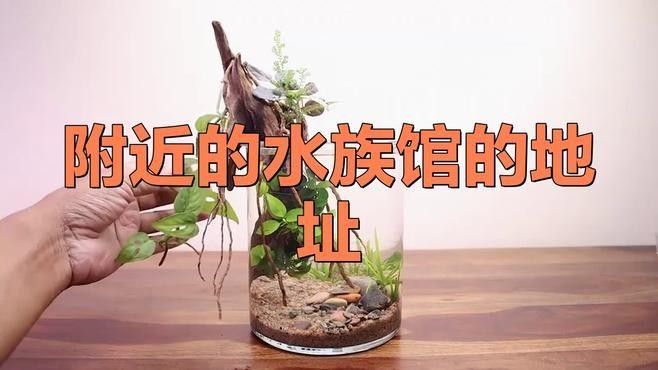 黃巖開水族店怎么樣？加盟祥龍魚場賣龍魚市場怎樣？