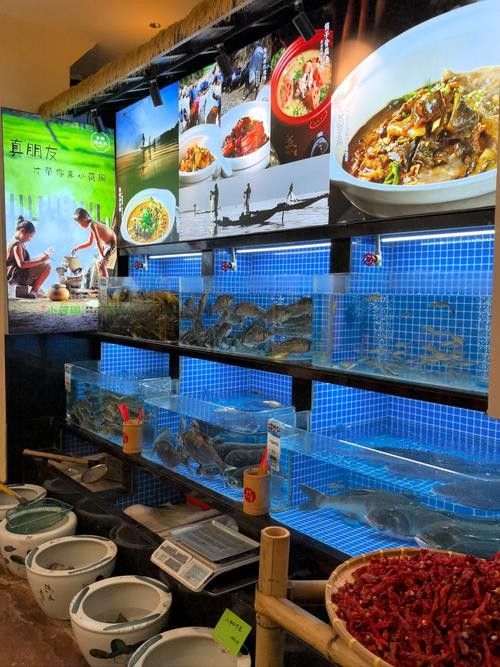 宜豐開水族店怎么樣？加盟祥龍魚場賣龍魚市場怎樣？